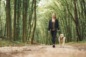 Uma Só Saúde: a ligação entre a saúde dos animais e a saúde humana