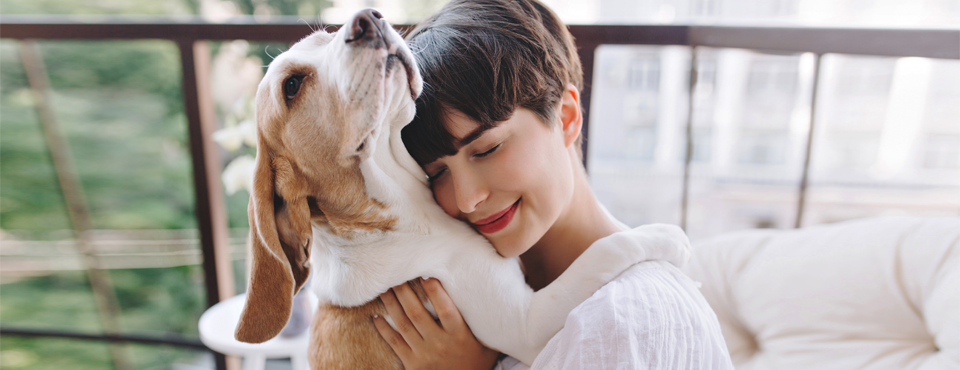 como ser um tutor atento ao seu animal de companhia