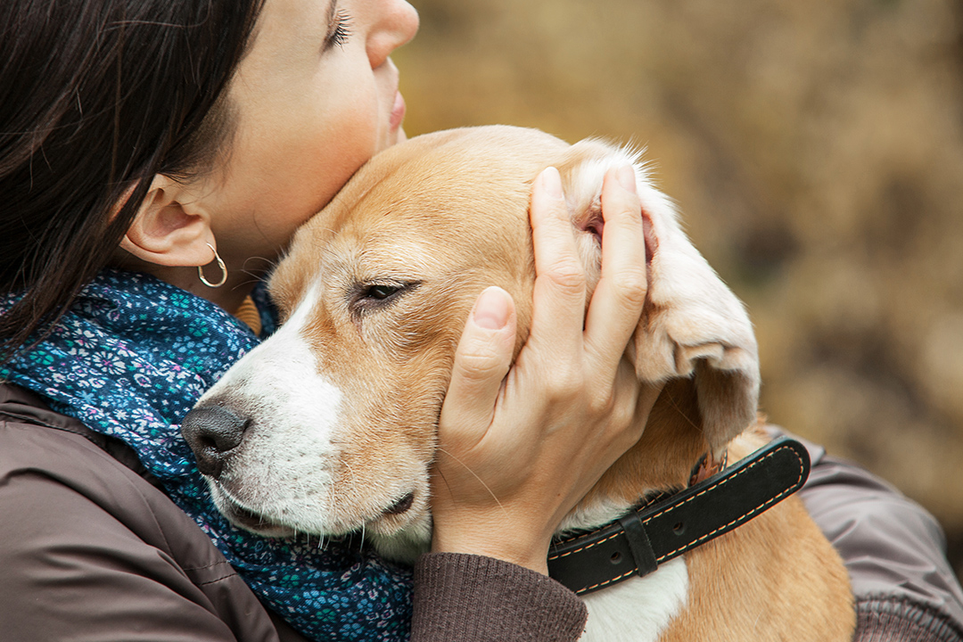 abraçando um cachorro com parasitas